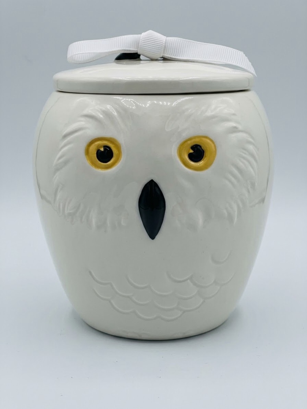 NWT Rae Dunn Harry Potter Hedwig Owl Ceramic Canister Jar Container